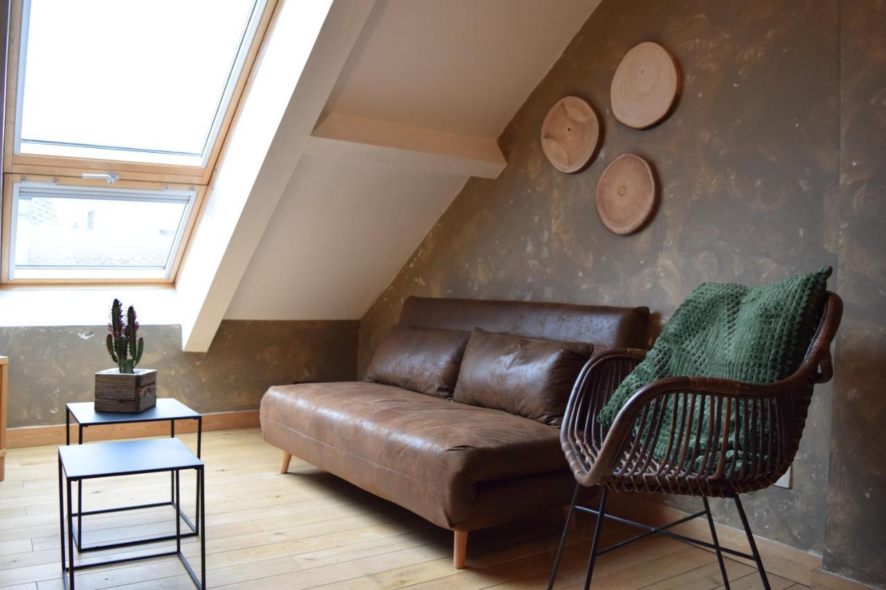 Le Patio Belle Maison En Plein Centre Ville, Avec Grande Terrasse Au Calme Bastogne Eksteriør bilde